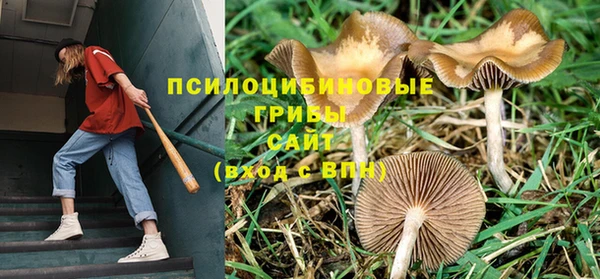 дурь Заводоуковск