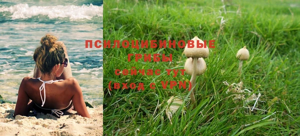 герыч Зеленодольск