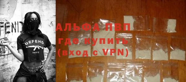 гашик Ельня