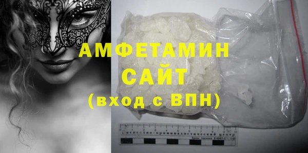 гашик Ельня