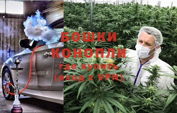 дурь Заводоуковск