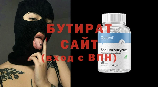 гашик Ельня