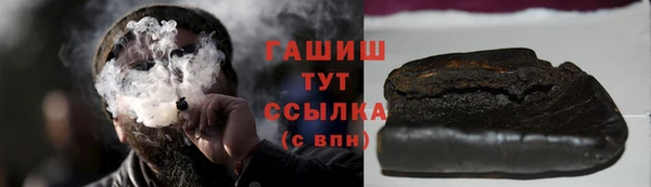 гашик Ельня