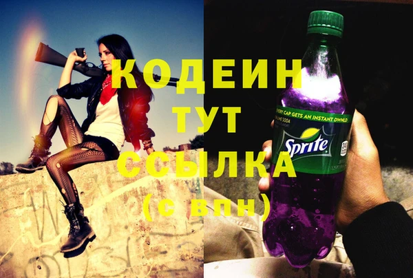 гашик Ельня