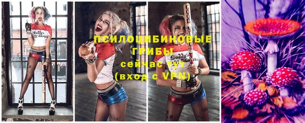 гашик Ельня
