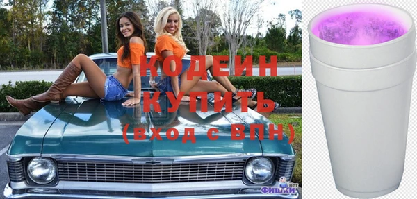 дурь Заводоуковск