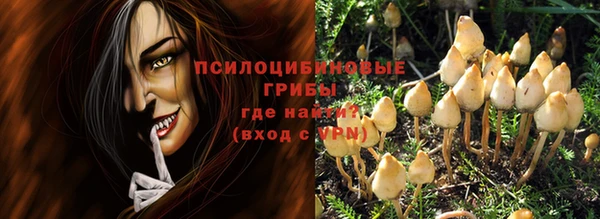 гидра Слюдянка